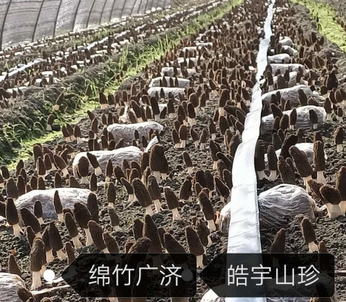 &#20048;&#40060;&#32593;&#39029;&#29256;&#45;&#20048;&#40060;&#40;&#20013;&#22269;&#41;&#23448;&#26041;