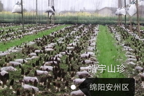 &#20048;&#40060;&#32593;&#39029;&#29256;&#45;&#20048;&#40060;&#40;&#20013;&#22269;&#41;&#23448;&#26041;