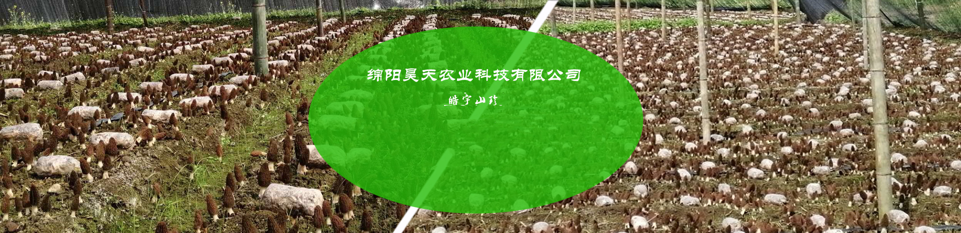 &#20048;&#40060;&#32593;&#39029;&#29256;&#45;&#20048;&#40060;&#40;&#20013;&#22269;&#41;&#23448;&#26041;
