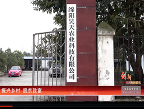&#20048;&#40060;&#32593;&#39029;&#29256;&#45;&#20048;&#40060;&#40;&#20013;&#22269;&#41;&#23448;&#26041;