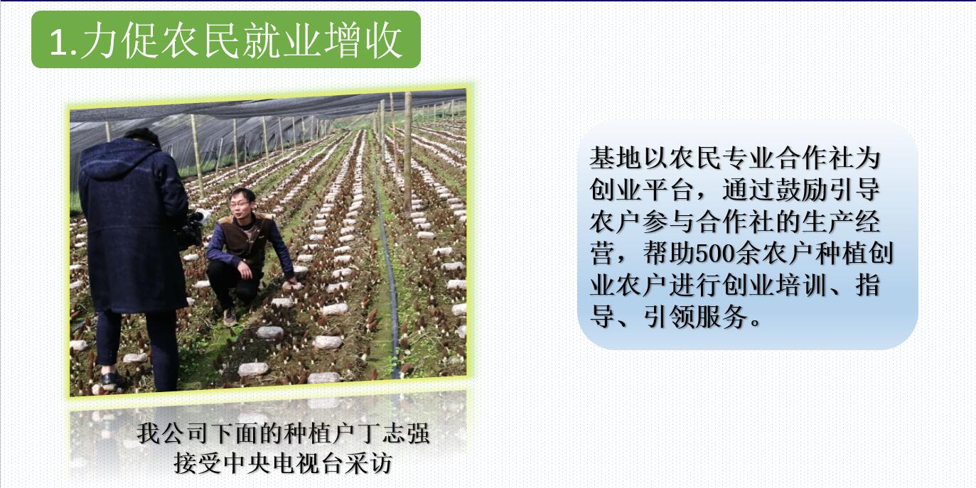 &#20048;&#40060;&#32593;&#39029;&#29256;&#45;&#20048;&#40060;&#40;&#20013;&#22269;&#41;&#23448;&#26041;